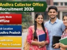 Collector Office Recruitment 2026 for all Male and Female